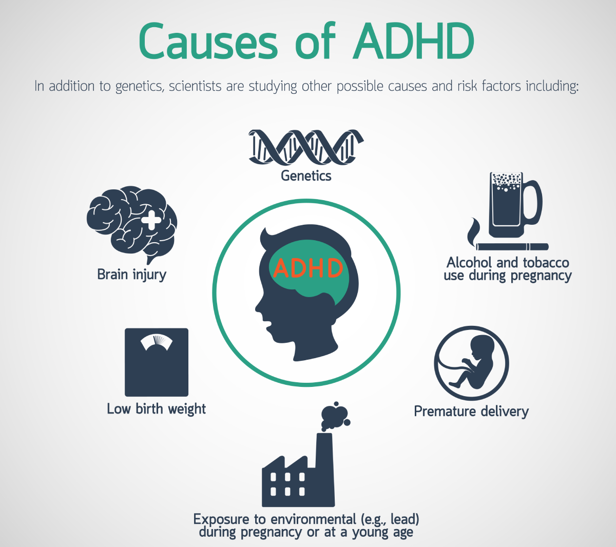 Infographics - Reasons for Attention Deficit Disorder